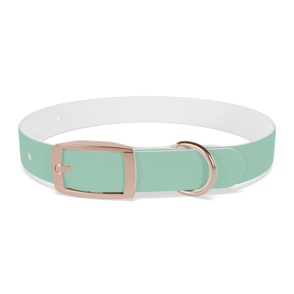 Waterproof Dog Collar | Mint