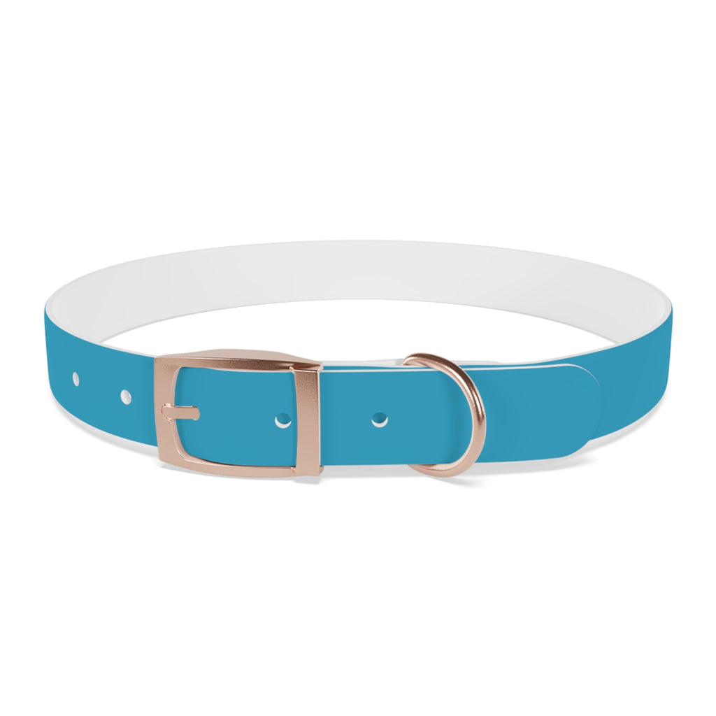 Waterproof Dog Collar | Turquoise