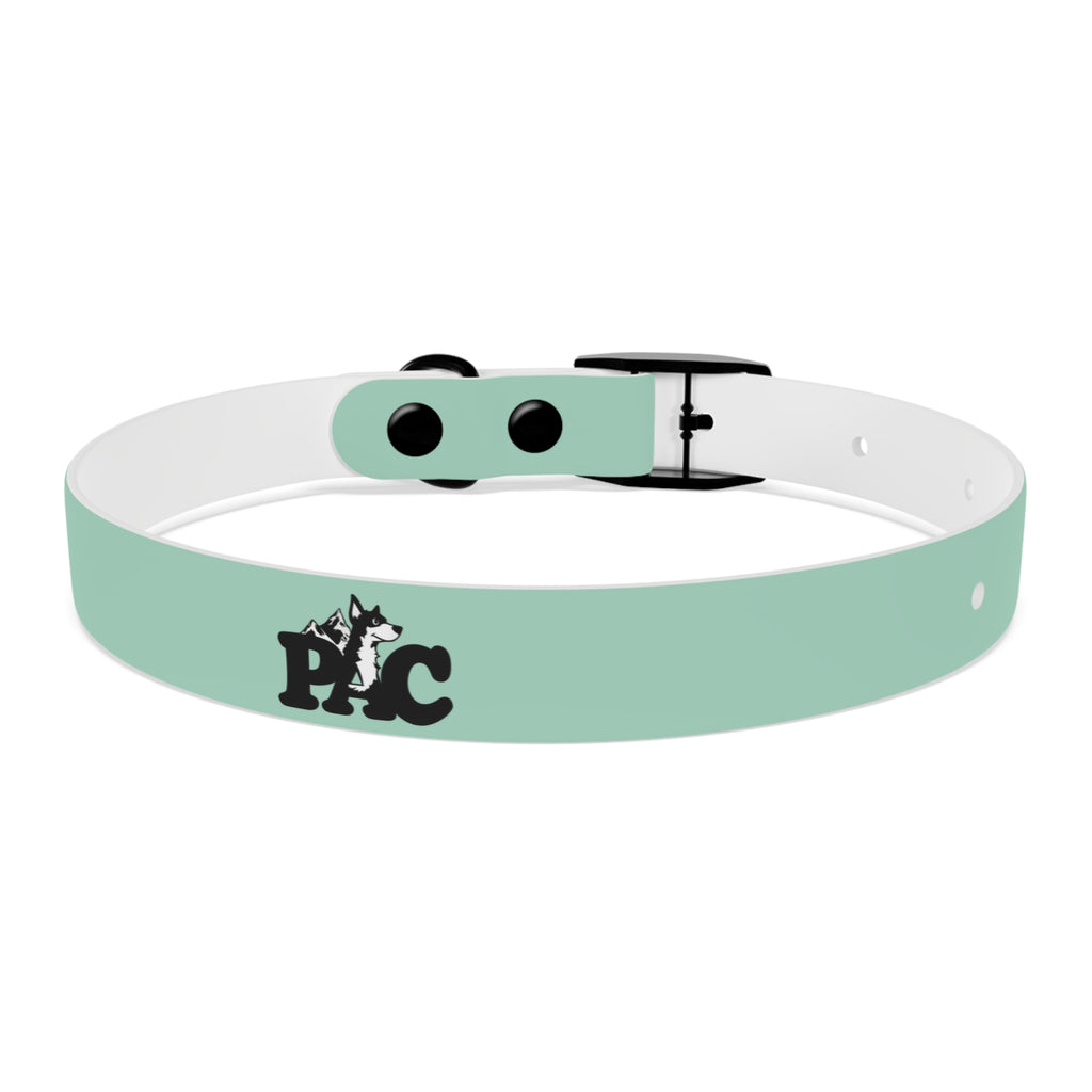Waterproof Dog Collar | Mint